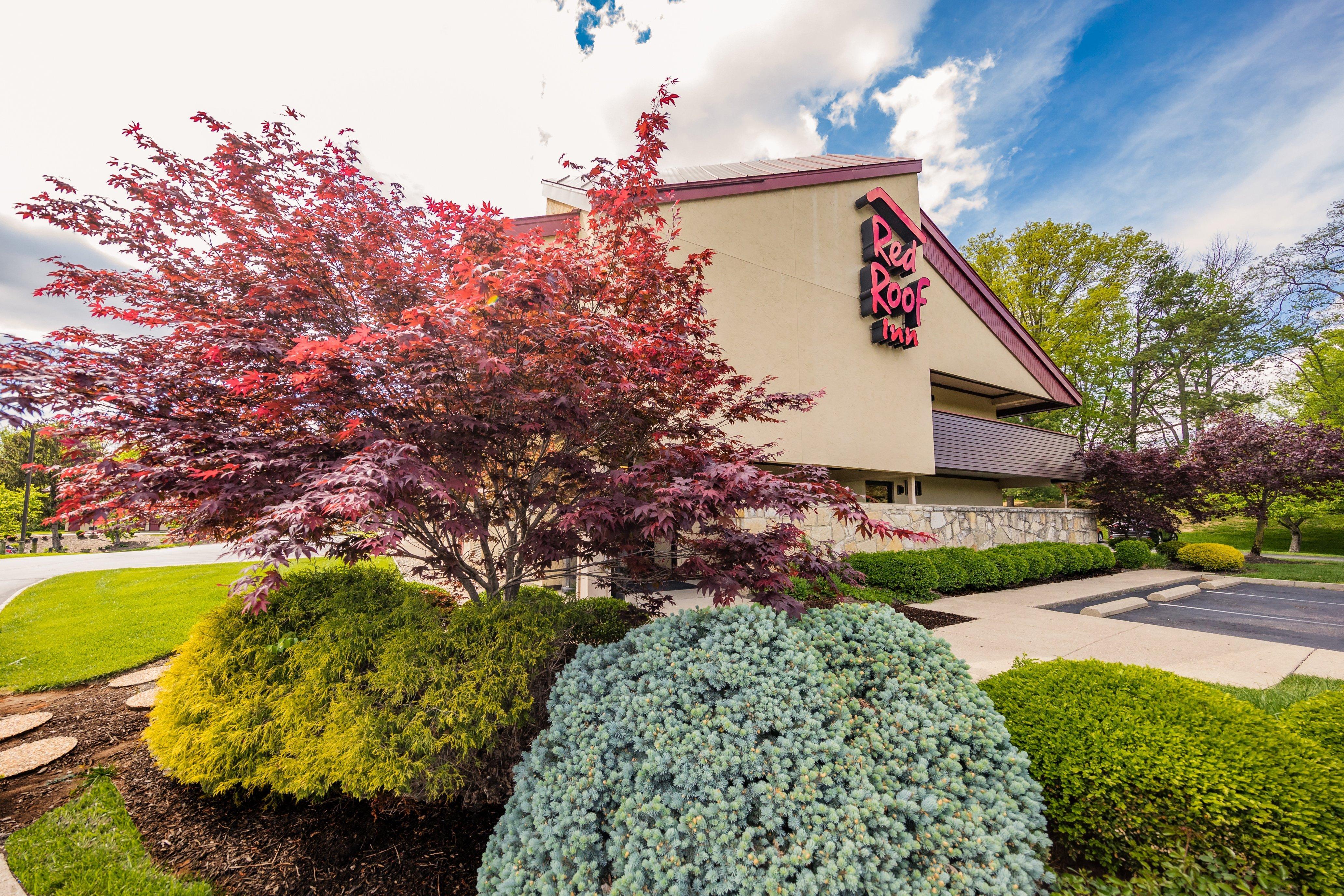 Red Roof Inn Cincinnati Northeast - Blue Ash Kültér fotó