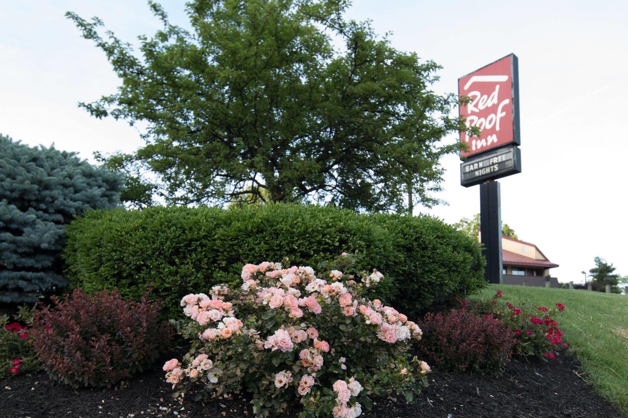 Red Roof Inn Cincinnati Northeast - Blue Ash Kültér fotó